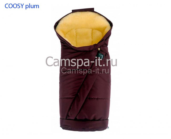 COOSY-plum.jpg COOSY-plum.jpg