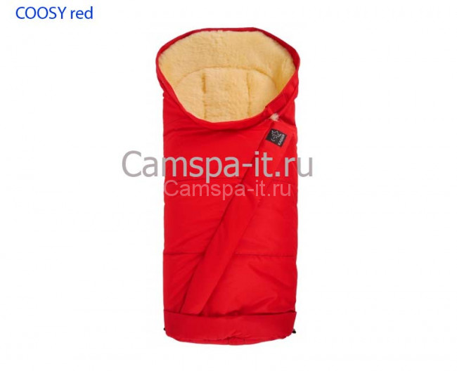 COOSY-red.jpg COOSY-red.jpg