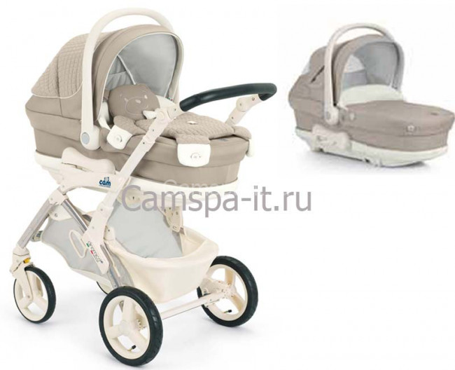 dinamico_orsi_710.jpg dinamico_orsi_710.jpg