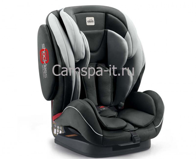 regolo498.jpg regolo498.jpg