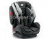 regolo498.jpg regolo498.jpg