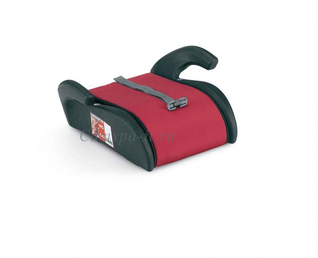 pony800.jpg pony800.jpg