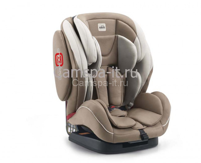 regolo499.jpg regolo499.jpg