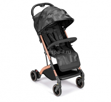 Прогулочная коляска Cam Compass 2.0 (Компасс 2.0) цвет 194
