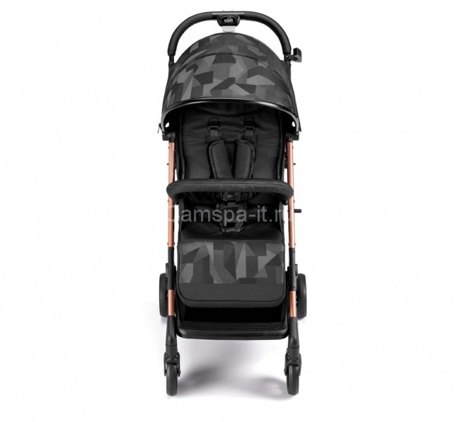 Прогулочная коляска Cam Compass 2.0 (Компасс 2.0) цвет 194