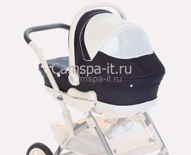 dinamico_orso_moscit4l.jpg dinamico_orso_moscit4l.jpg